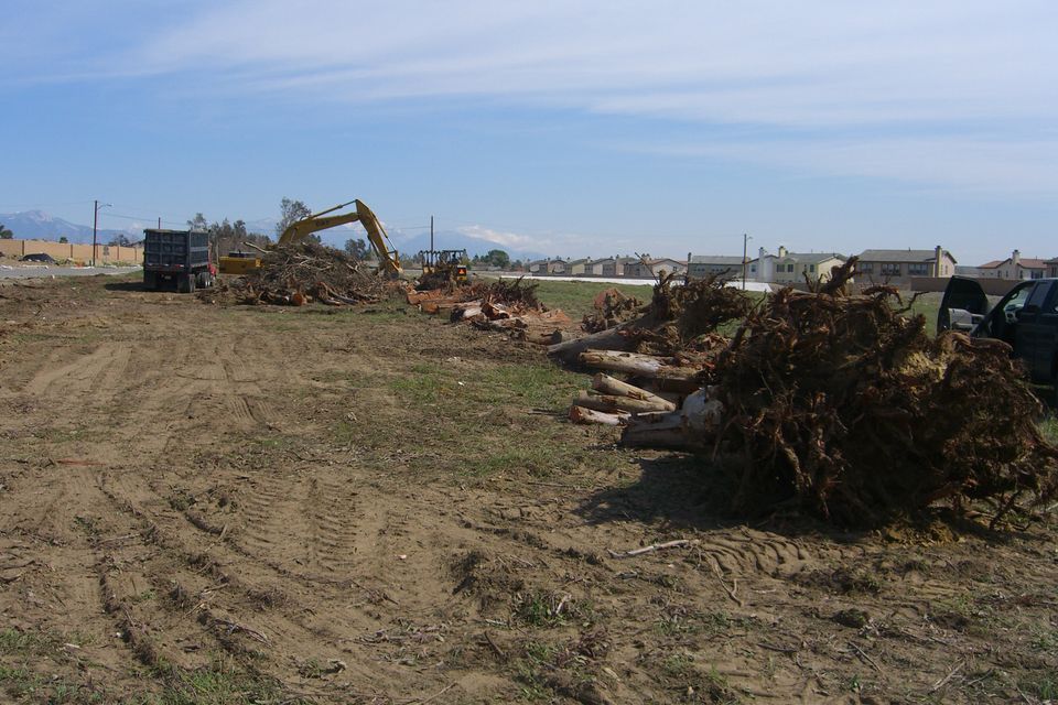 Images of winrow removal and land clearing