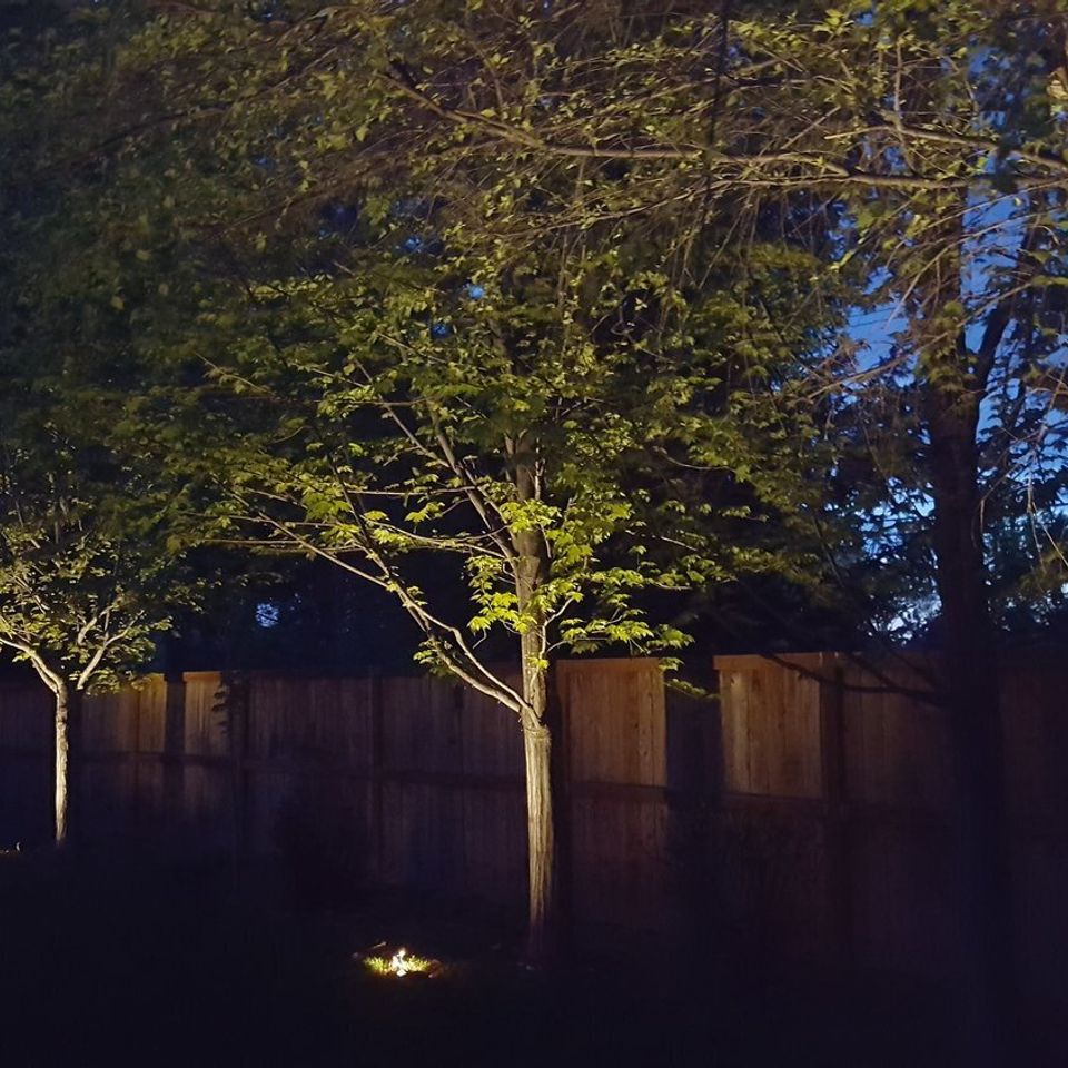 Professional outdoor landscape lighting in meridian  id