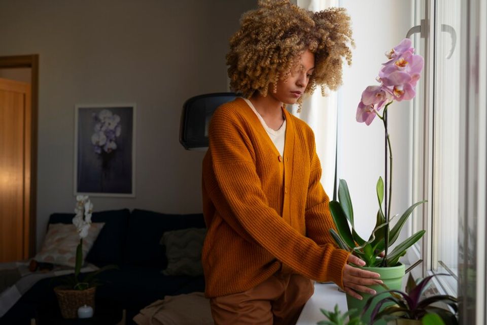 Woman decorating her home with orchids 23 2150960649