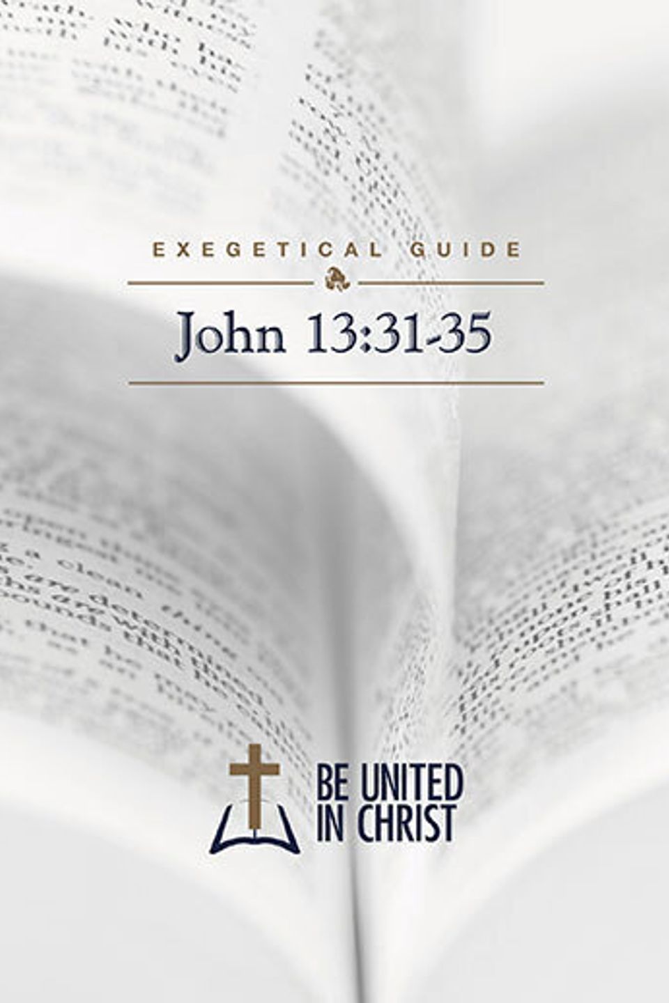Buic partner basic john13