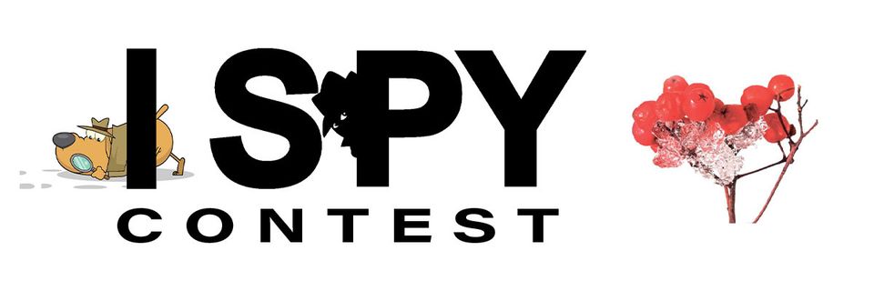 I spy contest graphic