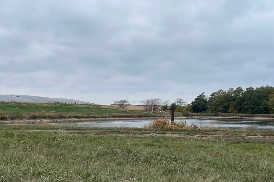 Cafo lagoon