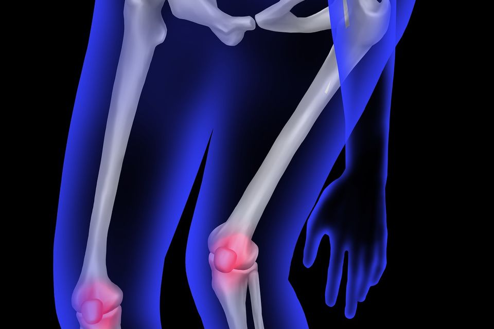 Xero337 human bone gb88e69b52 1920