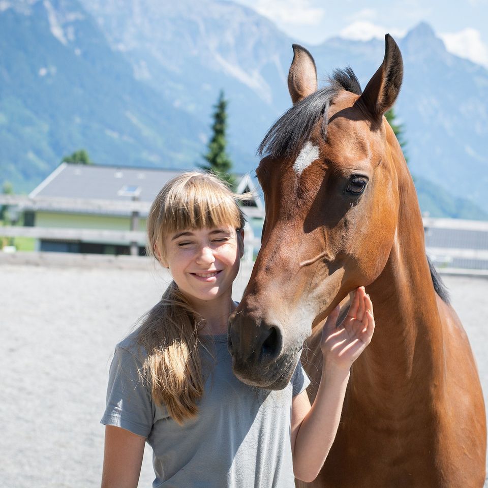 Pony Education