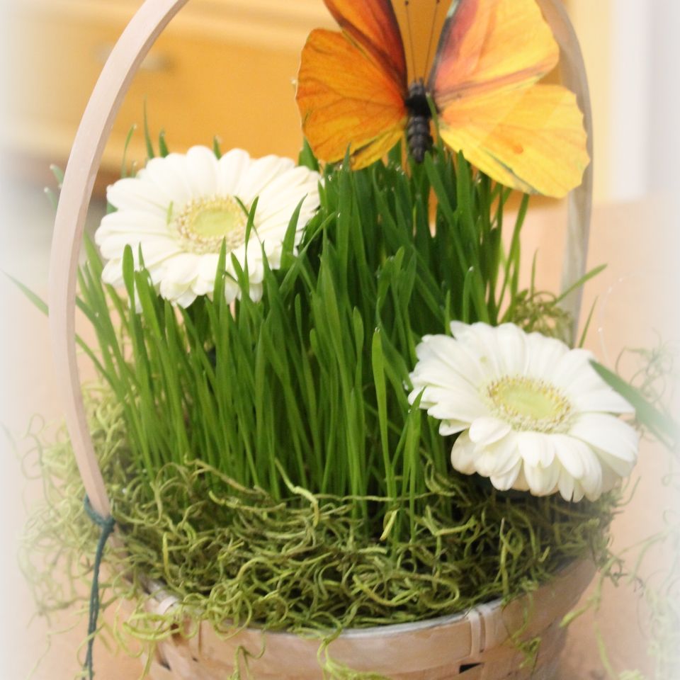 Flowers ed 11320180612 11649 thfk5g