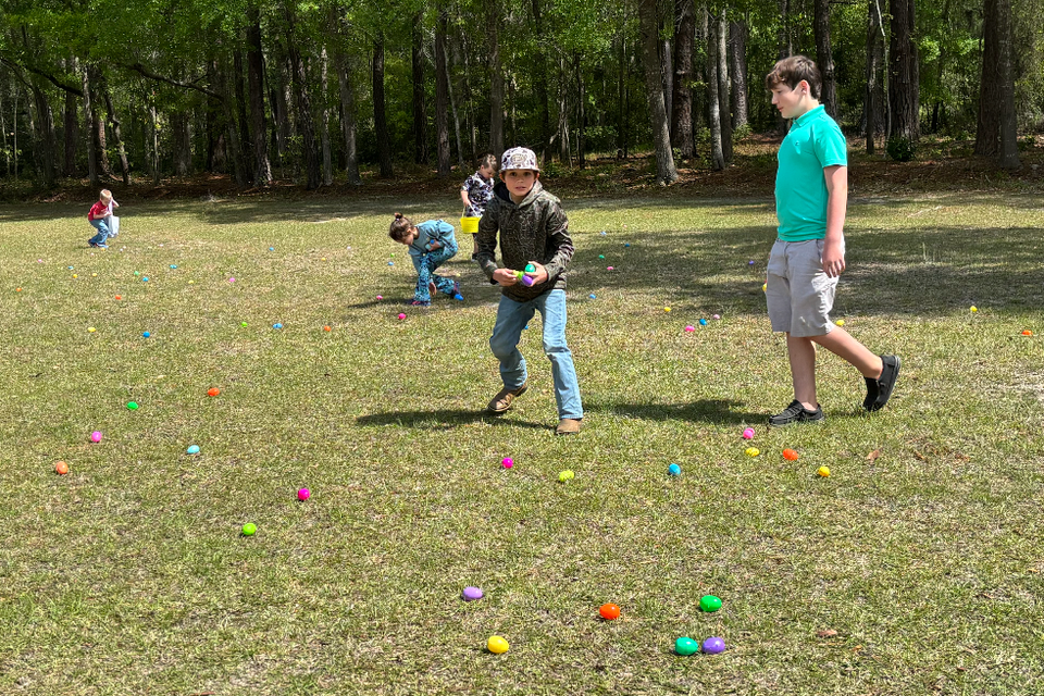 Screenshot 2026 01 31 at 10.29.09 am