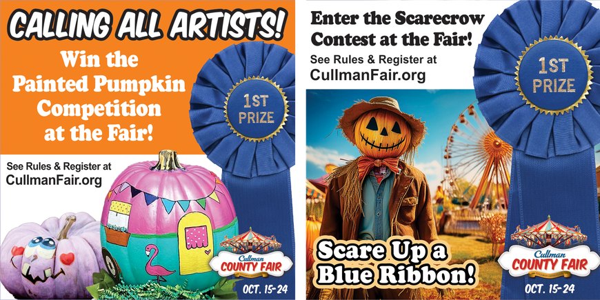 Contest 2