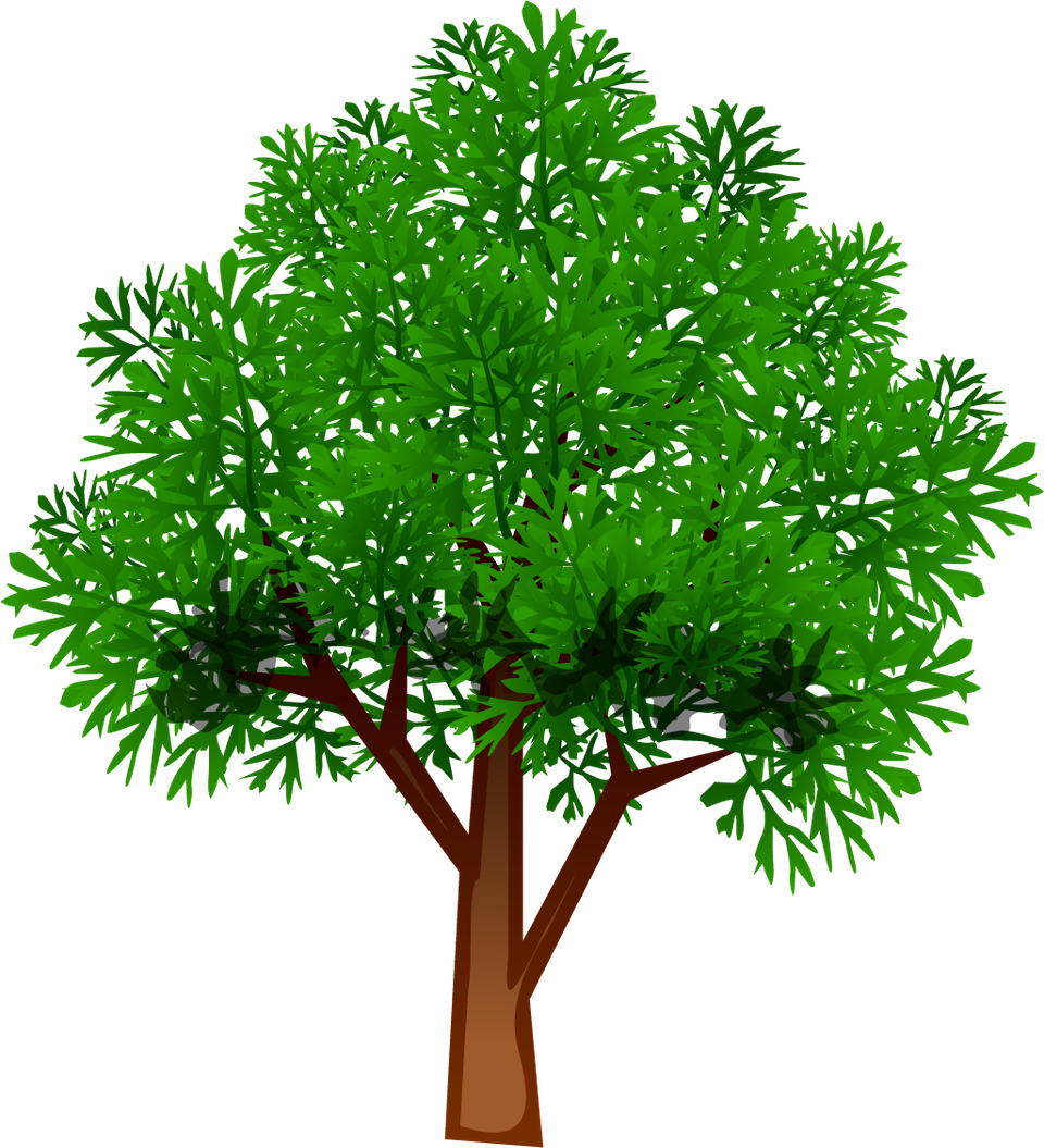 Tree services 2