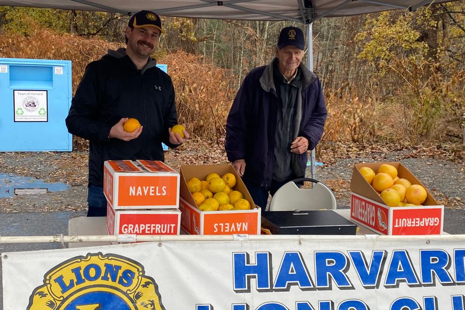 Harvard lions 35th annual citrus sale 