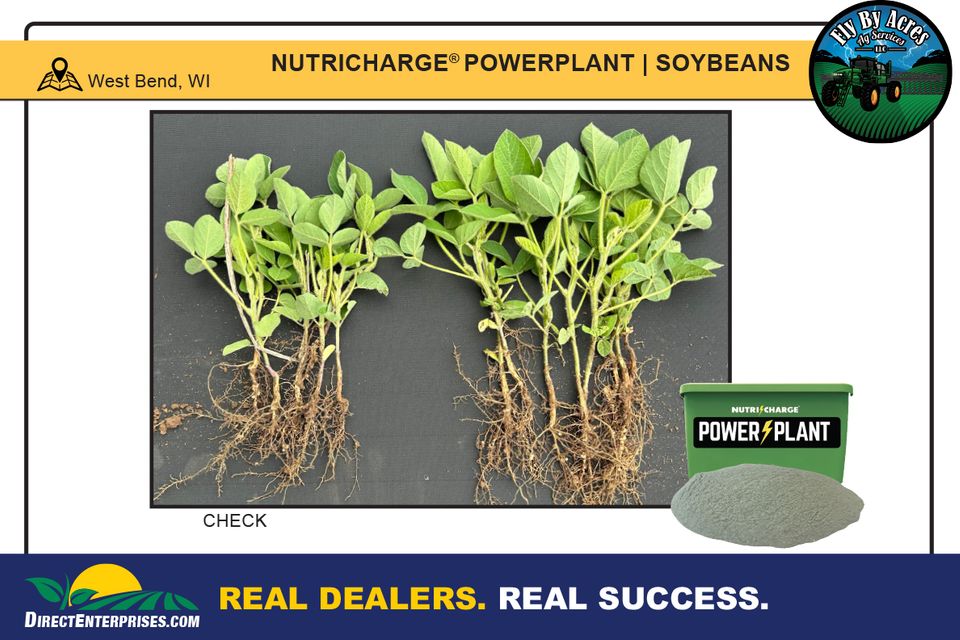 Fly by storyboards 20250823 2