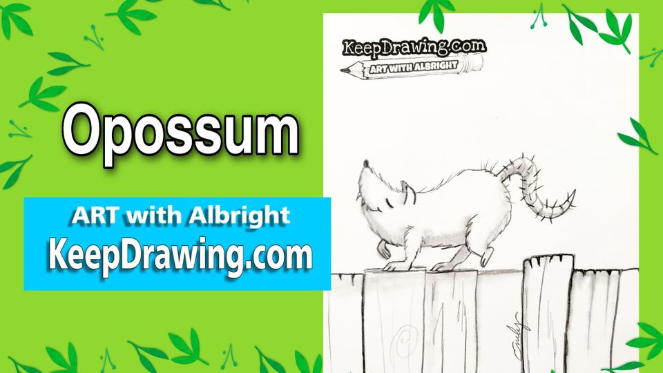 How to draw opossum on fence art with albright
