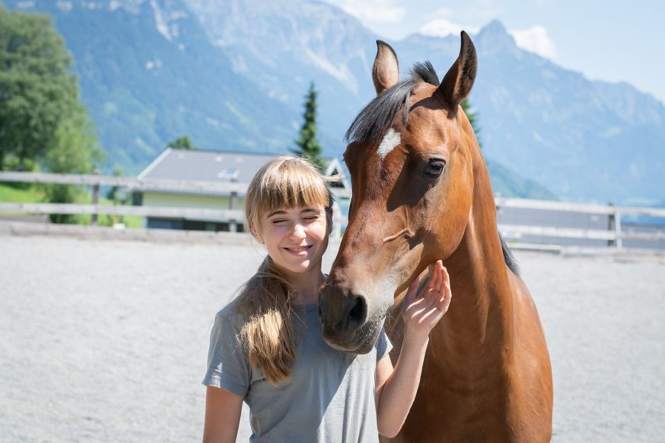 Pony Education