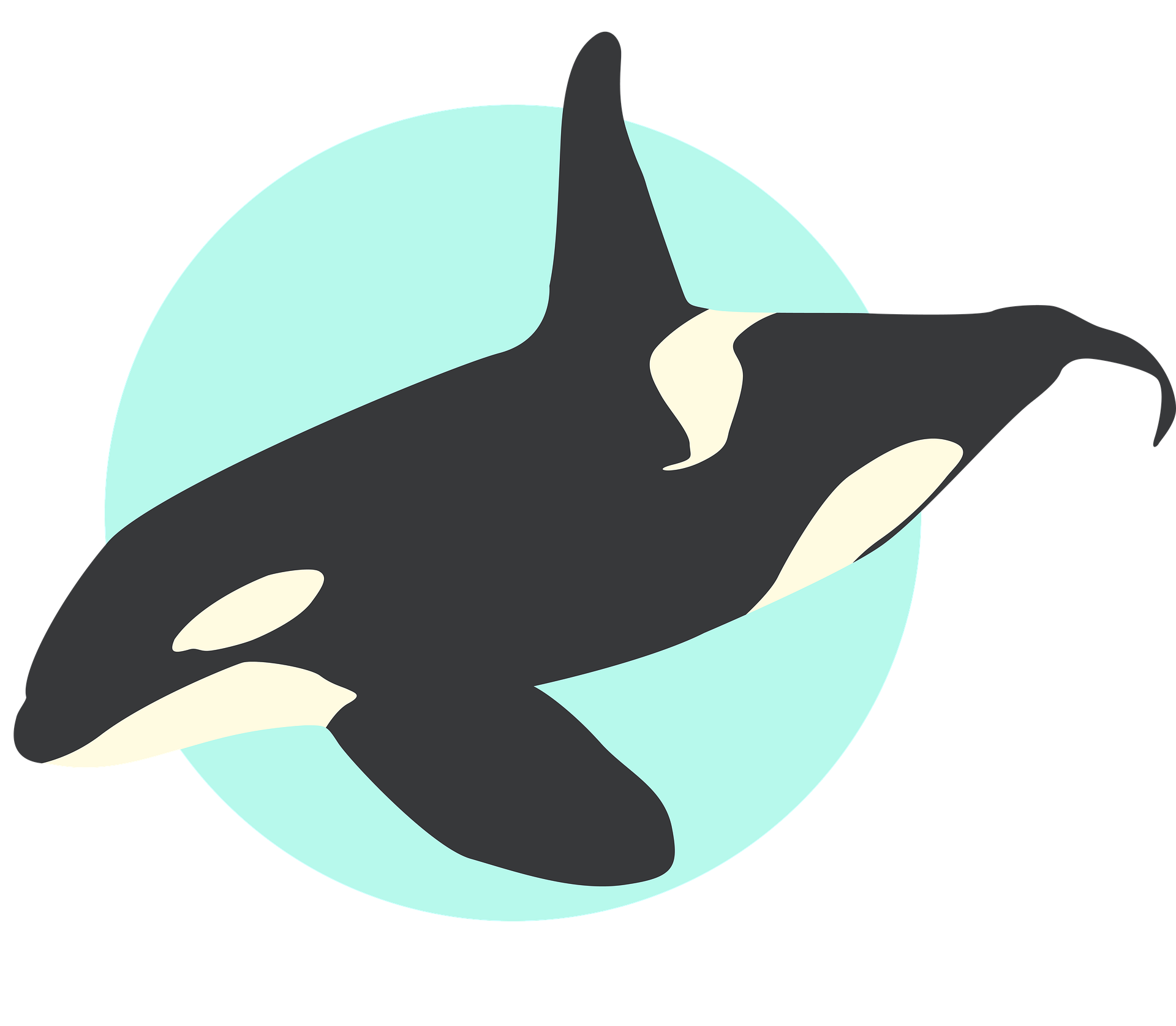 ORCA Business Advisory LLC