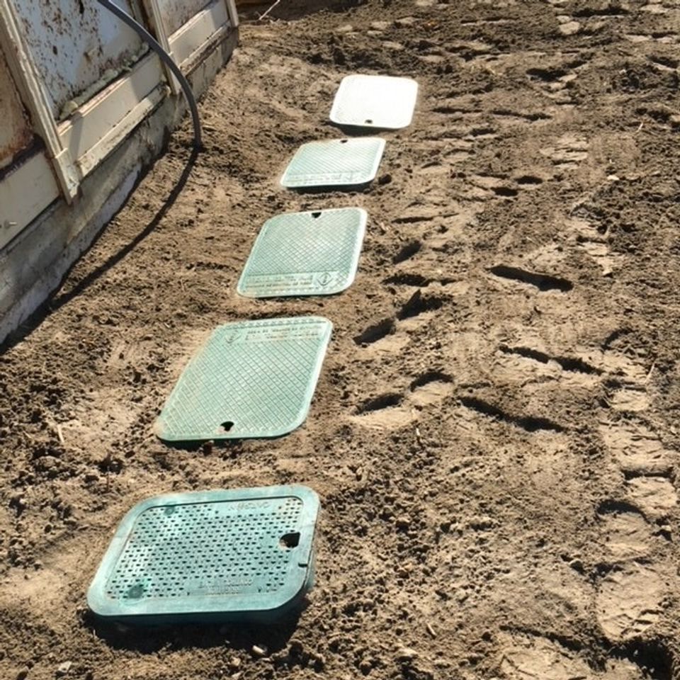 Sod   irrigation 41