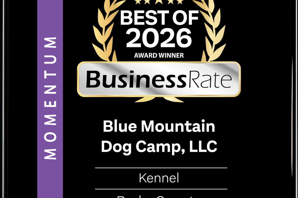 Business Rate Award 2026