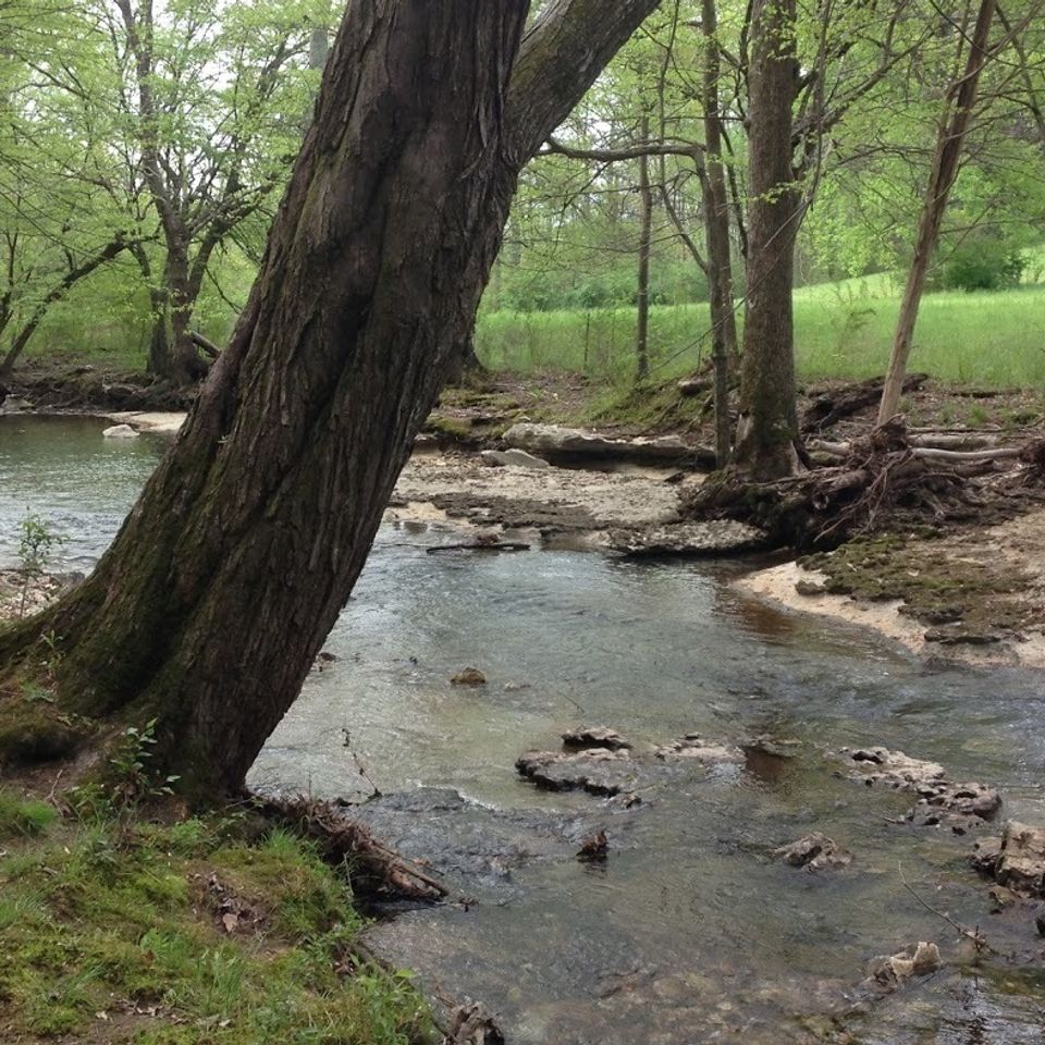 Dry creek
