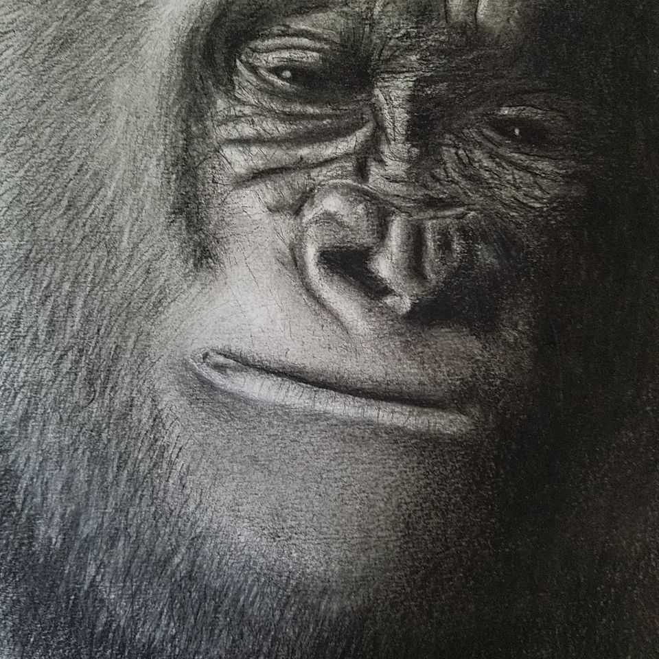 Thinking About Our Environment - Charcoal (8x10)