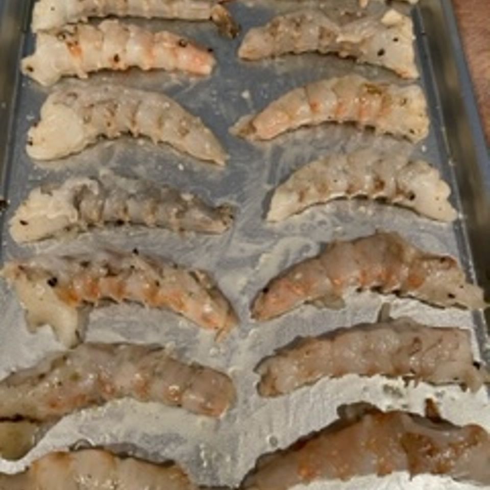 Img 0974
