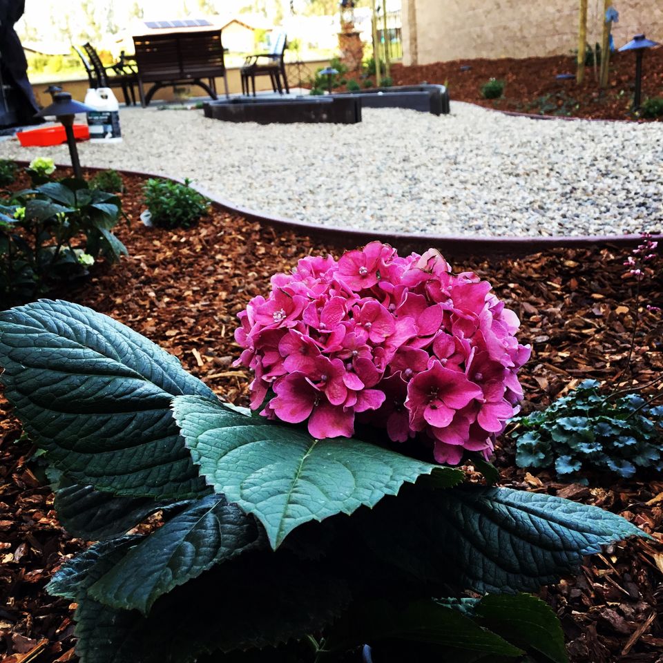 Allcountylandscaping (22)20161208 9114 7vnxgd