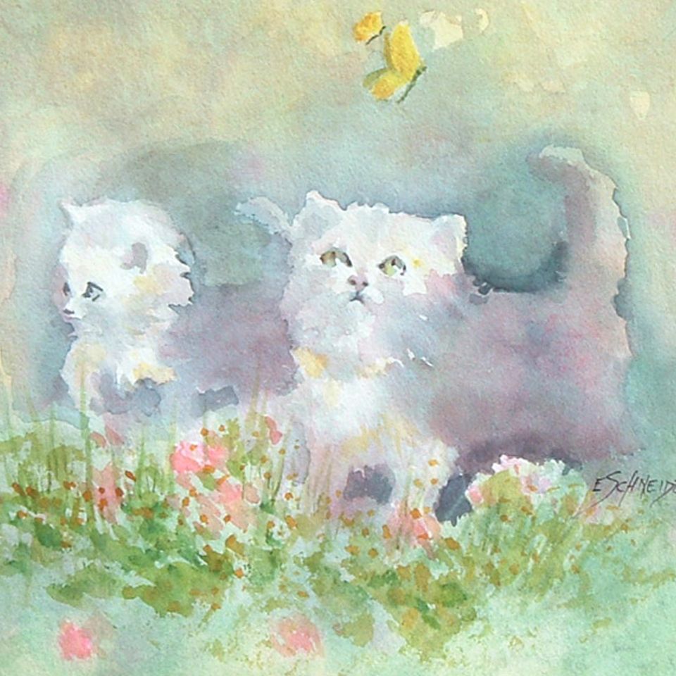 Chasing butterflies