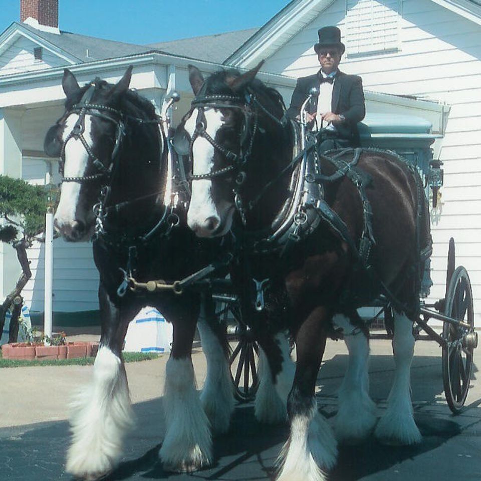 Horsedrawnwithprominenthorses