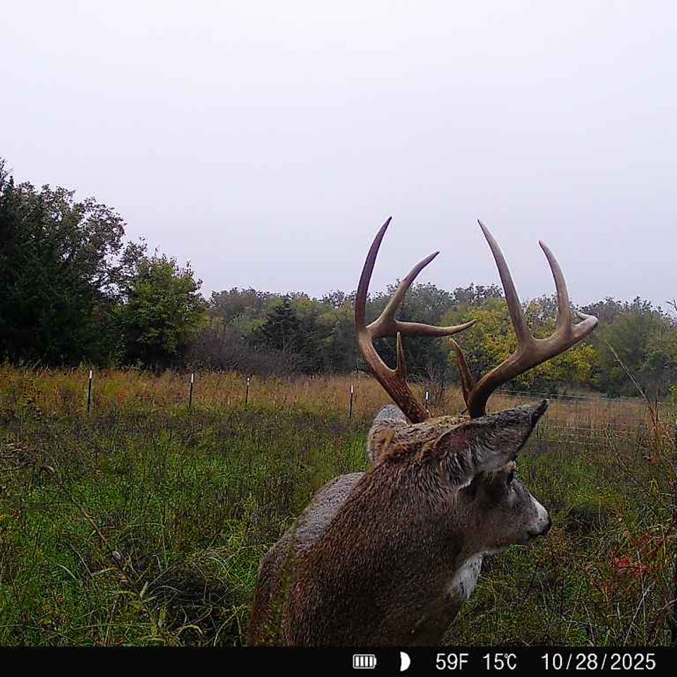 867490071063148 100 2 10282025075420 w1000003