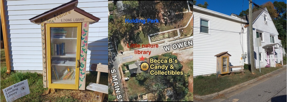 Little library resource