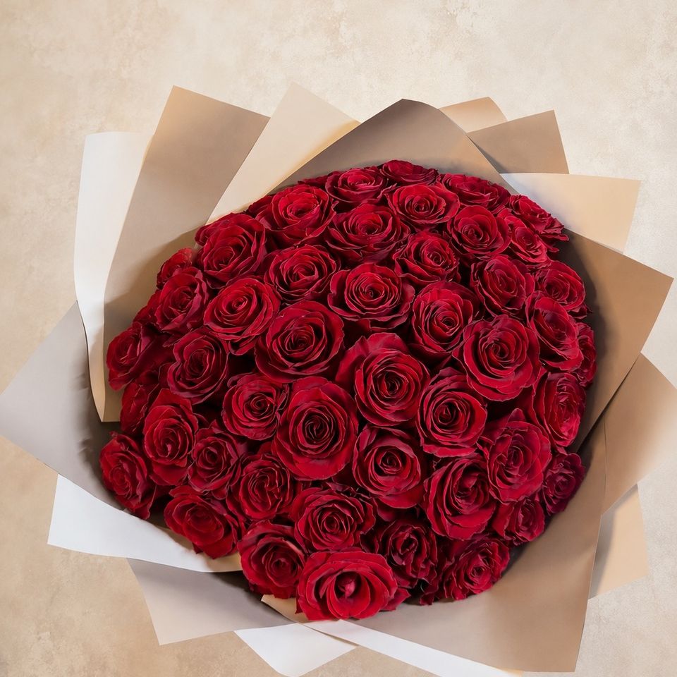 Clasic red 200 red