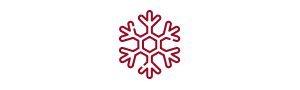 Winter icon