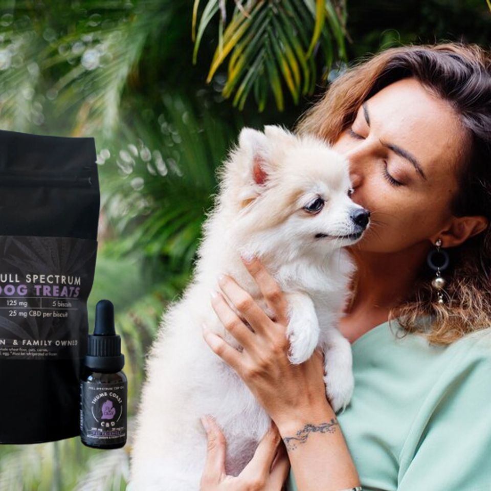 cannibis dog treats