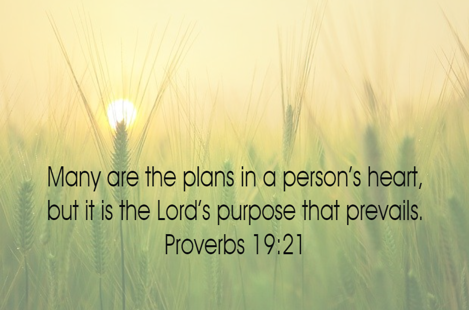 Proverbs 19.21