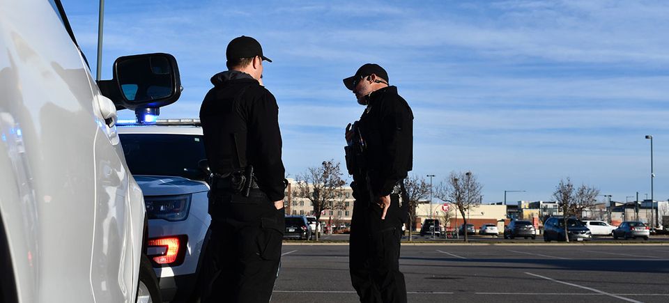 Denver metro security 3