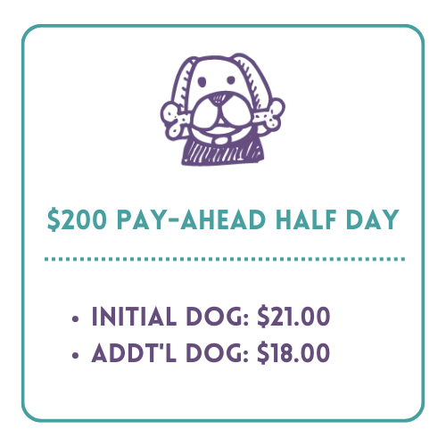 Doodle dog 200 half day price box (1)