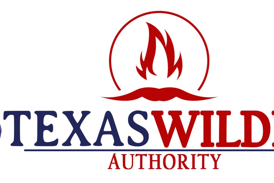 Texas wildfire logo