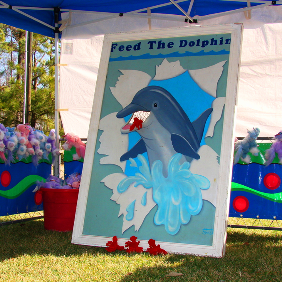 Feed the dolphin