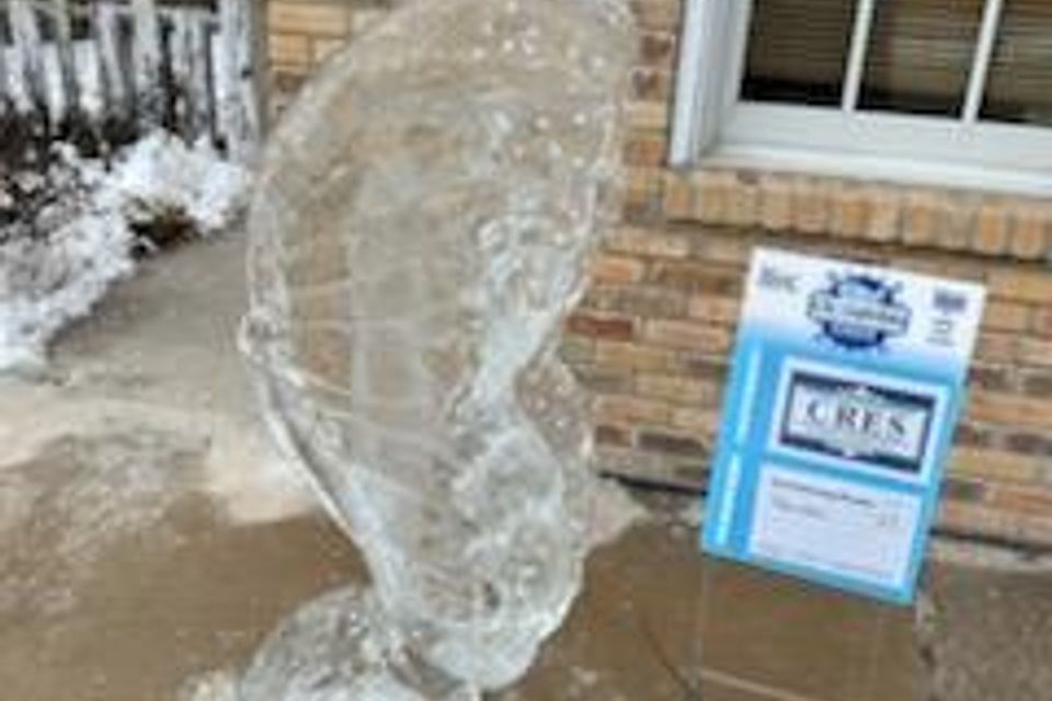 Ice carving 2026 37