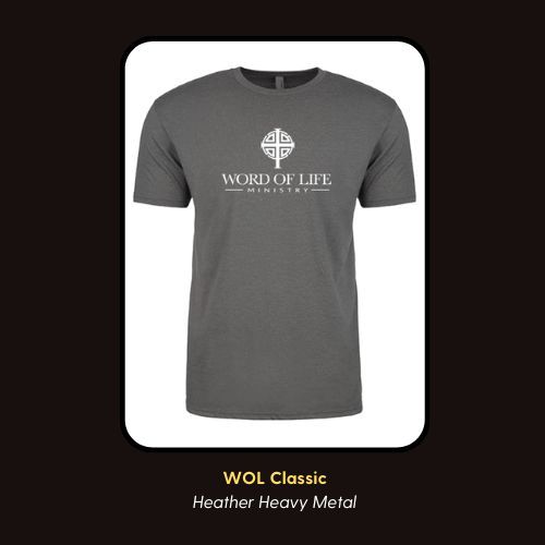 Wol website store (1)