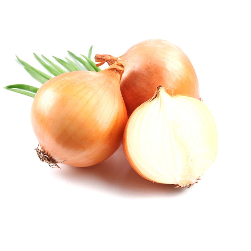 Onion gallery20170321 8547 yytyhg