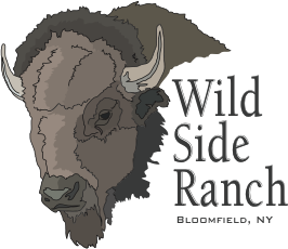 Wild side ranch