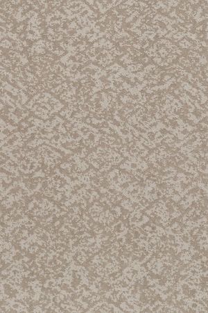 Free spirit   baltic stone  8.39
