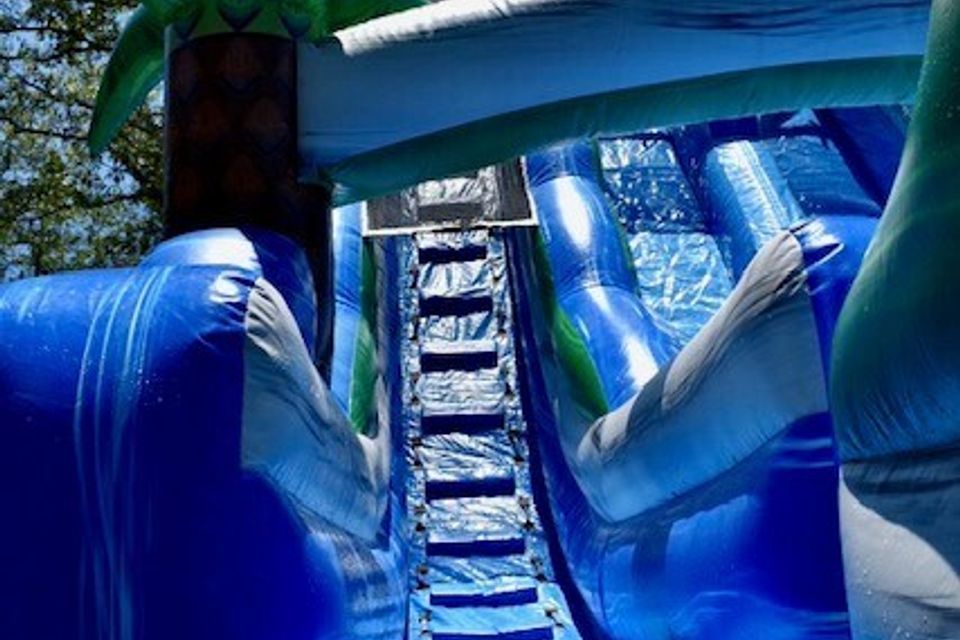 Tropical plunge4