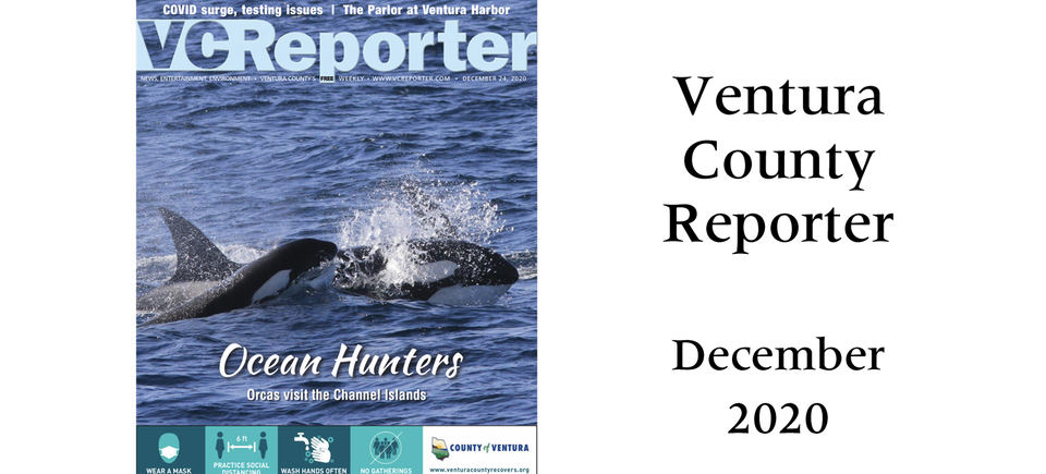 Vc reporter 2020 copy