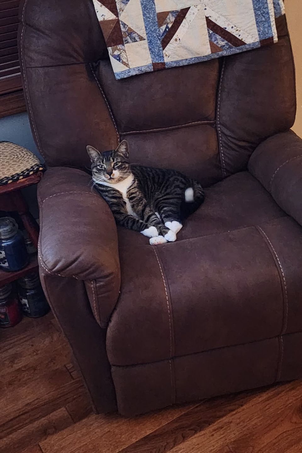 Tippy
