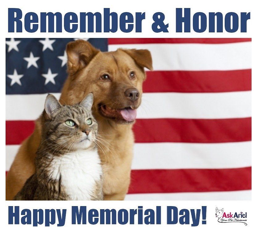 Memorialday10
