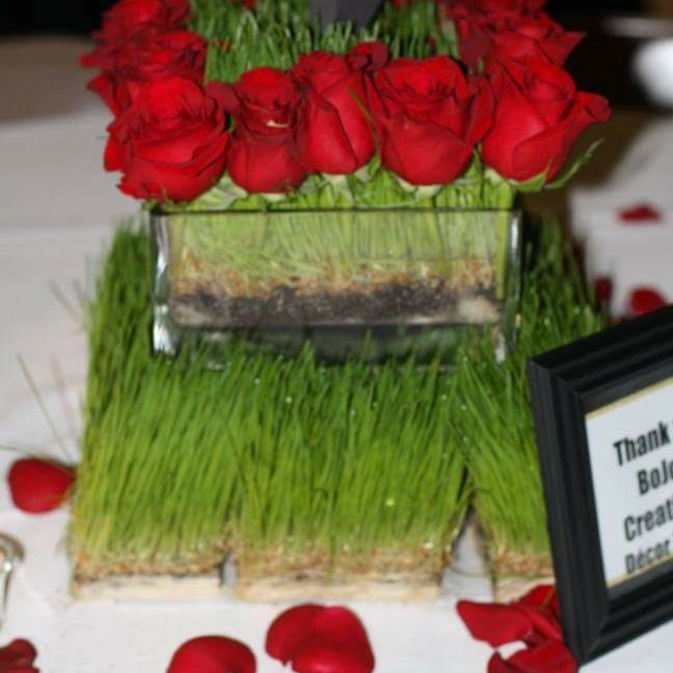 Wed decor 15920180617 12715 6ddx45