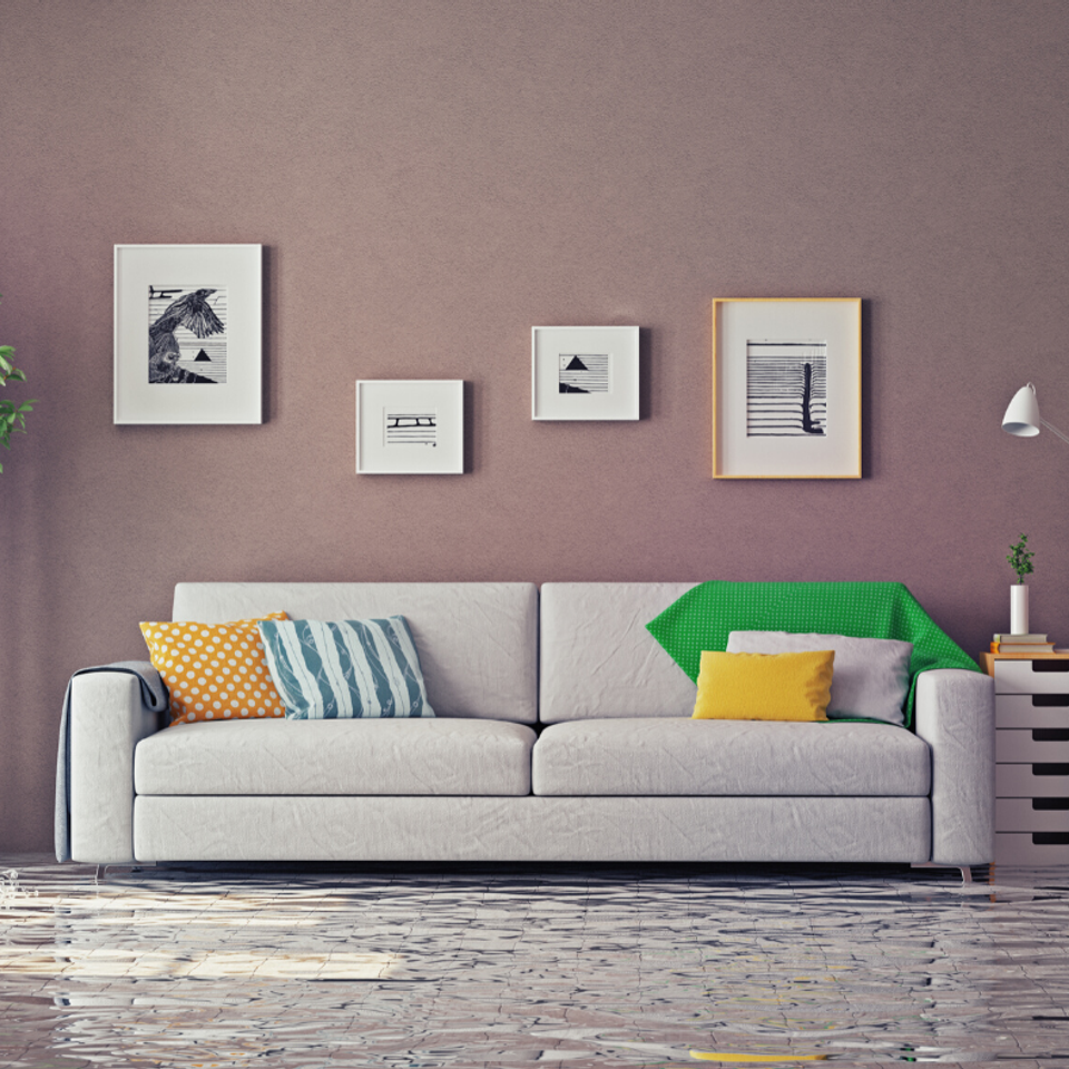 Asap 2 flooded living room