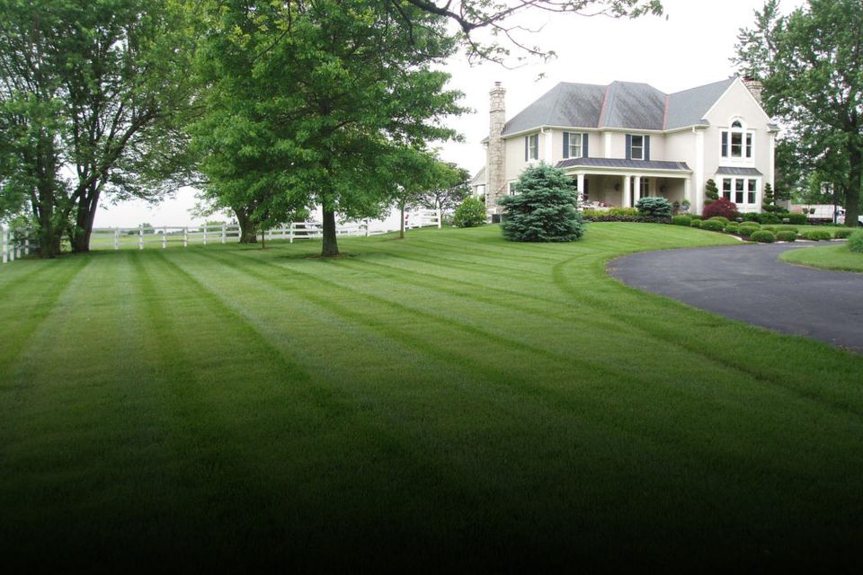 Lawn 2