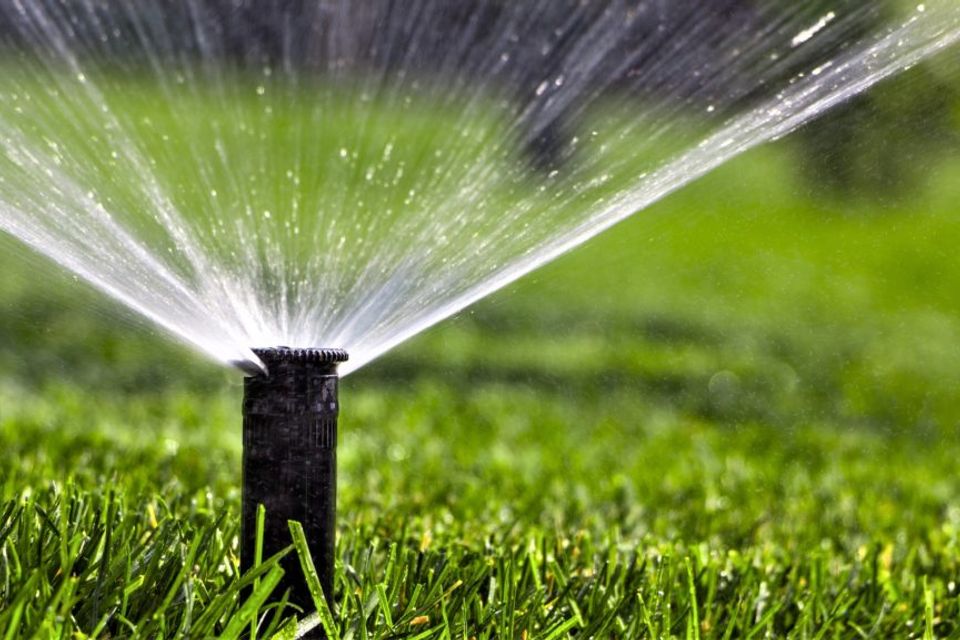 Aurora irrigation header photo 1024x576