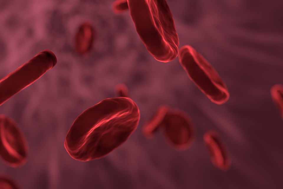 Red blood cells g30daf5799 1920