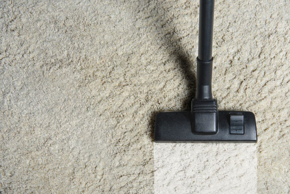Carpet cleaning san diego